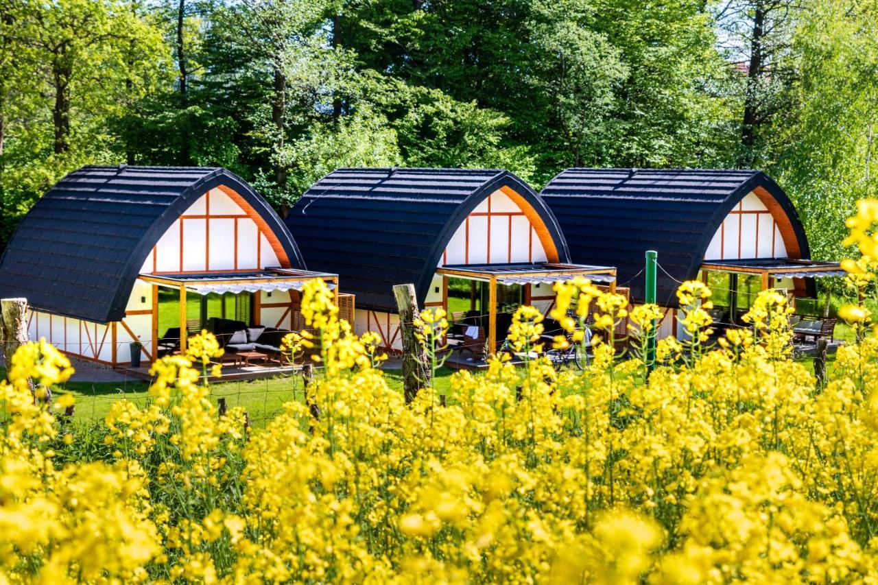 Sen I Wino, Domki Na Winnicy Ze Strefa Spa Zywiec Exterior photo