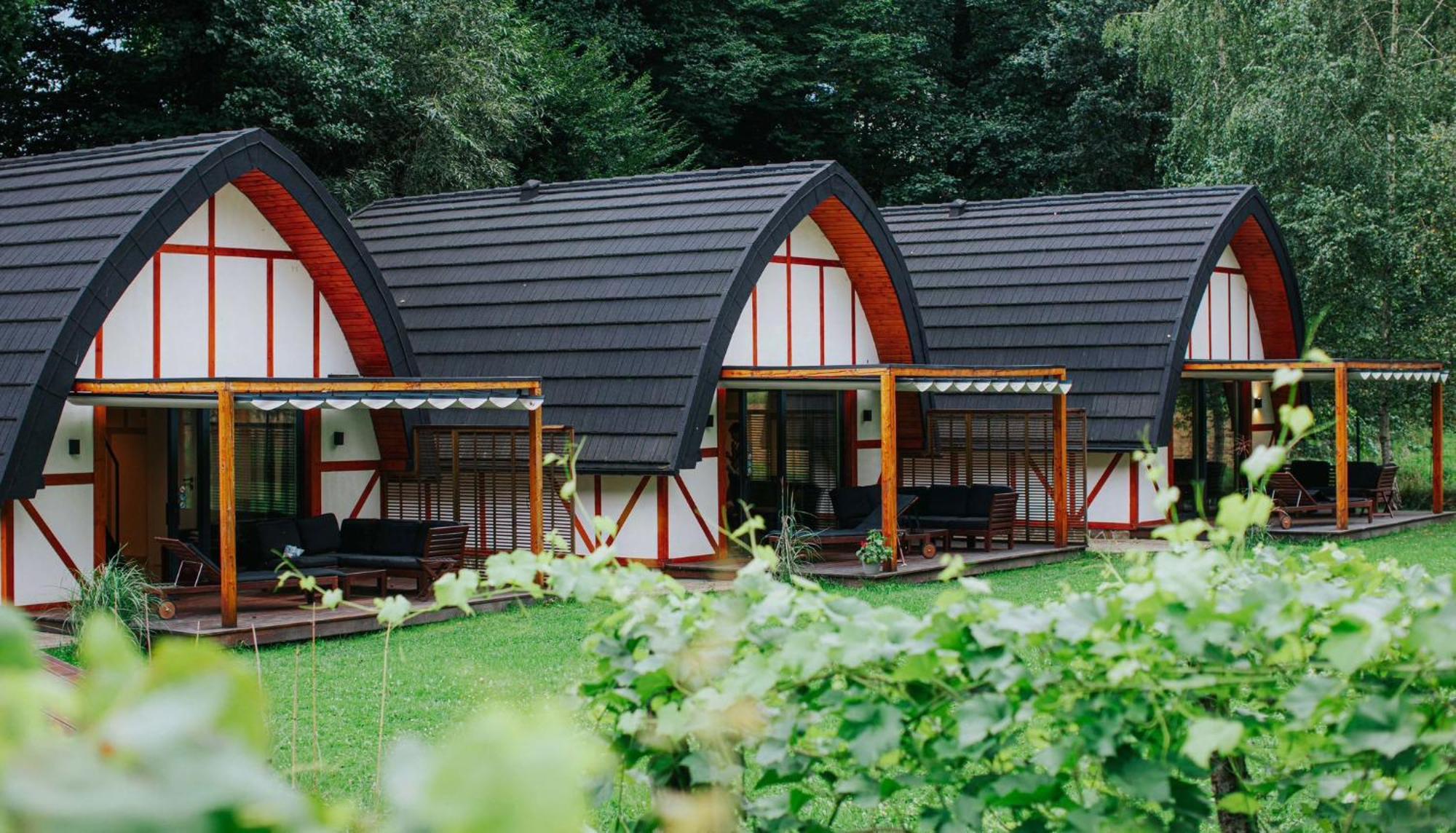 Sen I Wino, Domki Na Winnicy Ze Strefa Spa Zywiec Exterior photo
