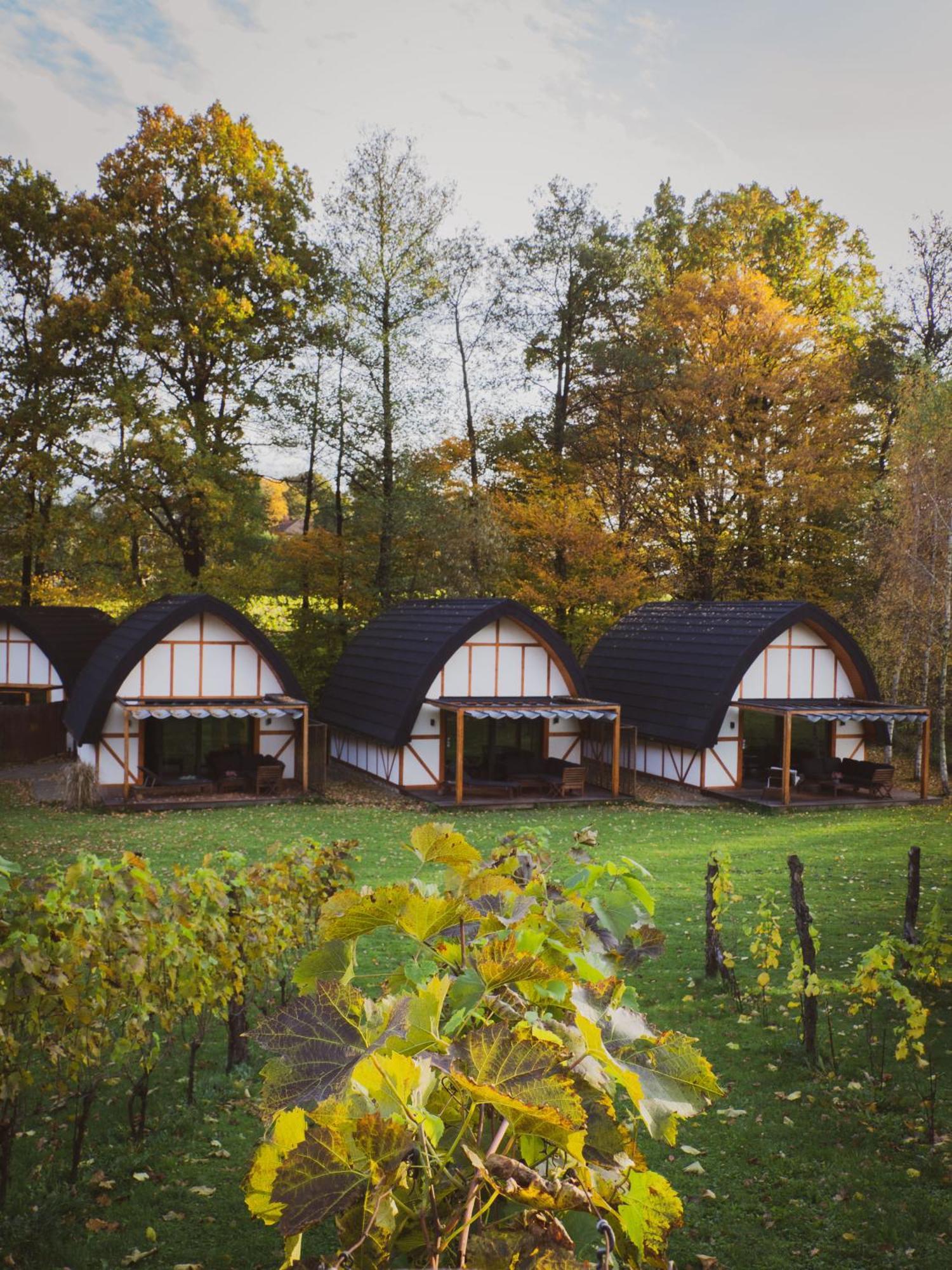 Sen I Wino, Domki Na Winnicy Ze Strefa Spa Zywiec Exterior photo
