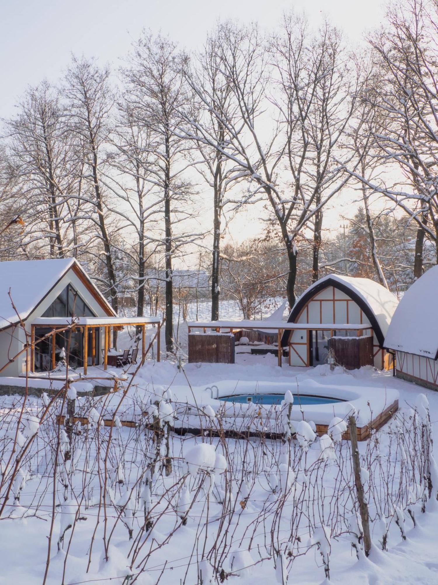 Sen I Wino, Domki Na Winnicy Ze Strefa Spa Zywiec Exterior photo