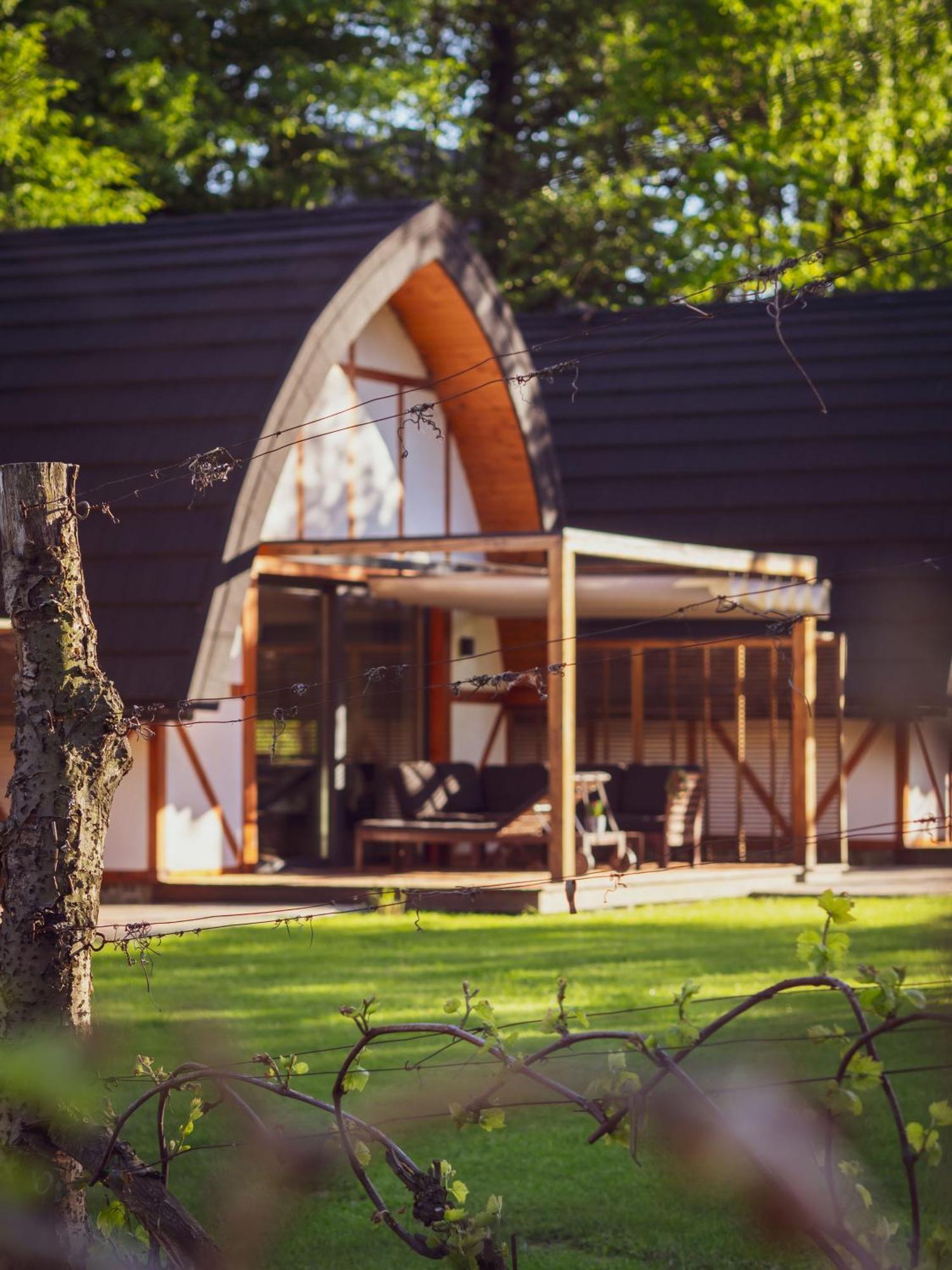 Sen I Wino, Domki Na Winnicy Ze Strefa Spa Zywiec Exterior photo
